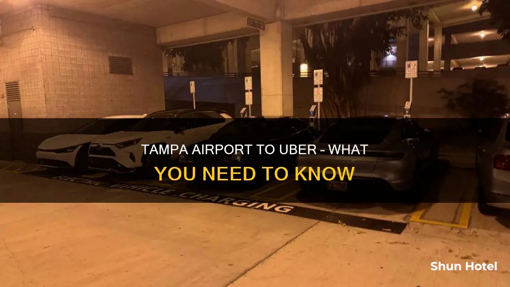 can u get an uber at tampa airport