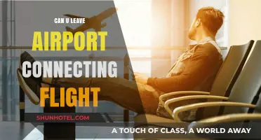 Exploring Beyond the Airport During Layovers