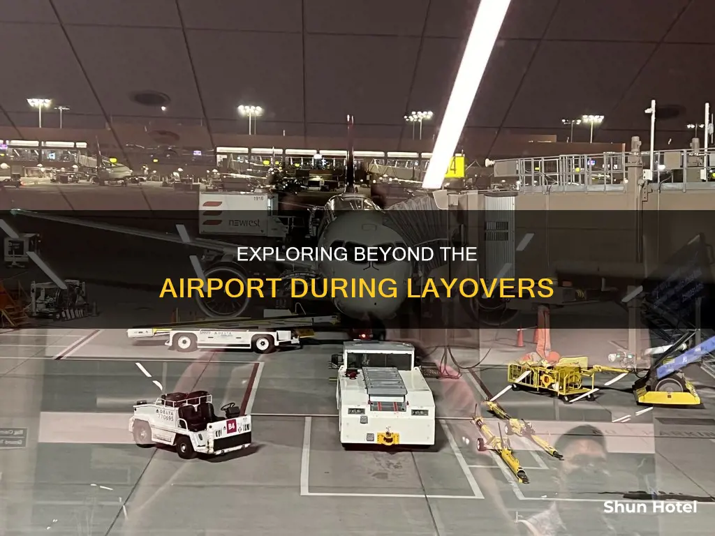can u leave airport connecting flight