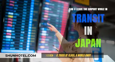 Exploring Japan During a Layover: What You Need to Know