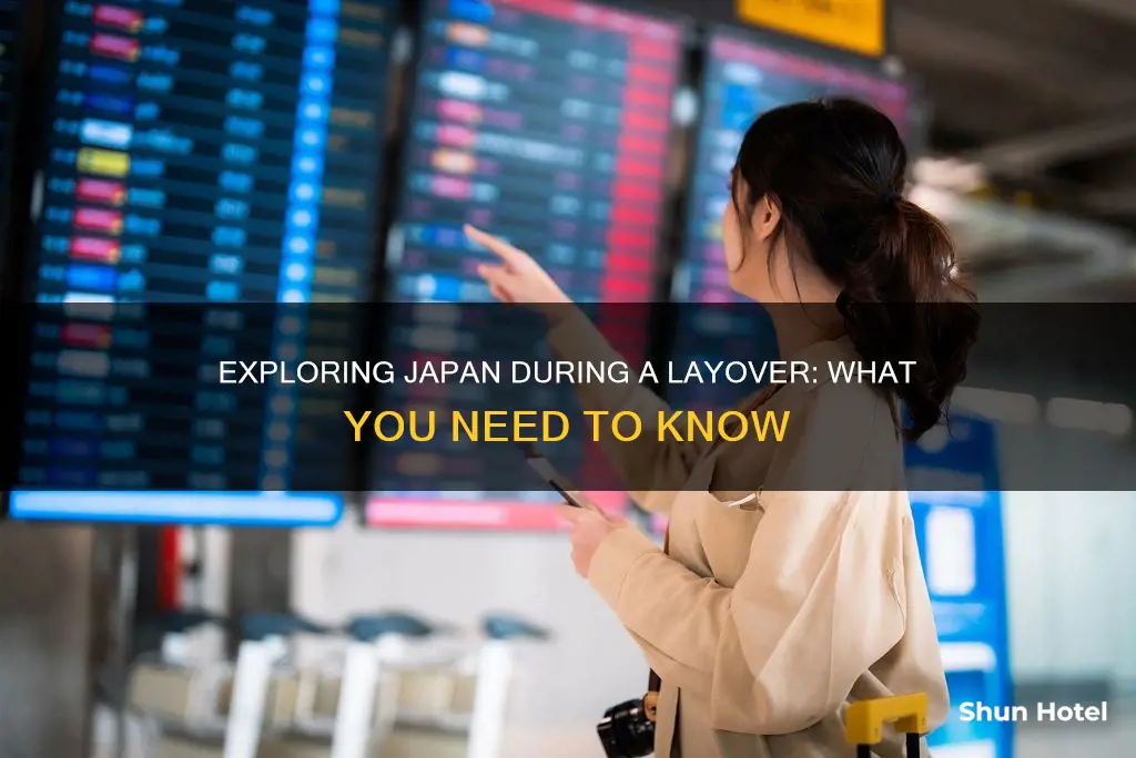 can u leave the airport while in transit in japan