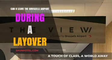 Exploring Brussels During a Layover: Can You Leave the Airport?