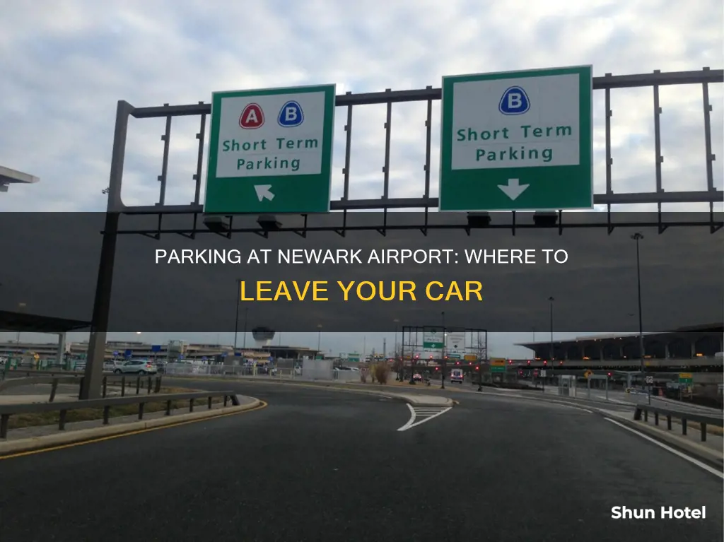 can u park car at ewr airport