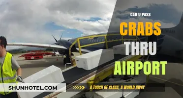 Navigating Airport Security with Crabs