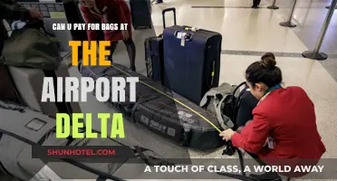 Delta's Airport Baggage Fees: What You Need to Know