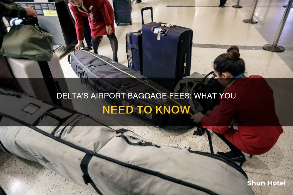 can u pay for bags at the airport delta