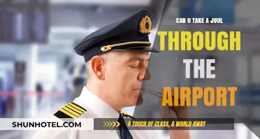 Airport Security and Vapes: Can You Bring Them?