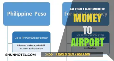 Traveling with Large Sums of Cash: Airport Edition