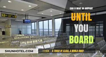 Waiting at the Airport: When to Arrive?
