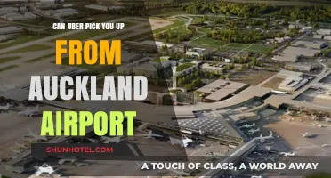 Uber from Auckland Airport: What You Need to Know