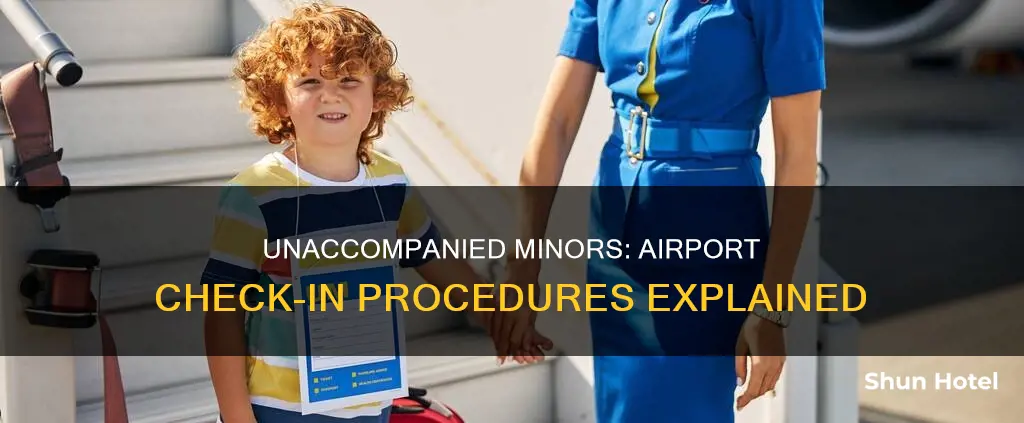 can unaccompanied minors check in at airport alon