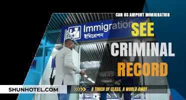 Immigration and Criminal Records: What US Airports See