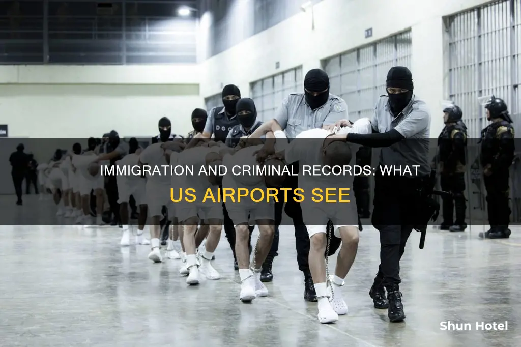 can us airport immigration see criminal record