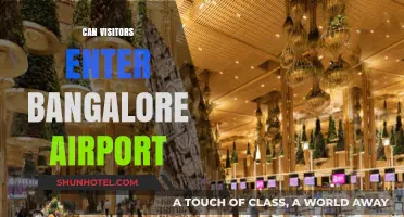 Bangalore Airport: Entry Rules for Visitors