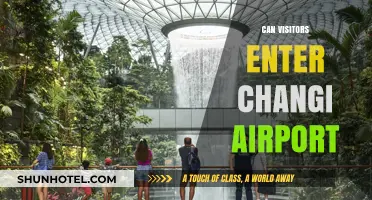 Exploring Changi: Access for Visitors
