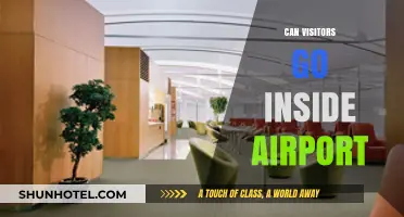 Exploring Airport Terminals: Can Visitors Enter?