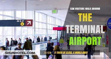 Exploring Airports: Can Visitors Walk Around Terminals?