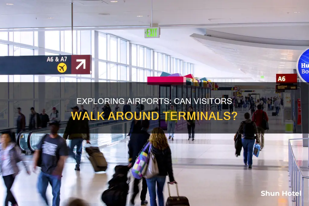 can visitors walk around the terminal airport