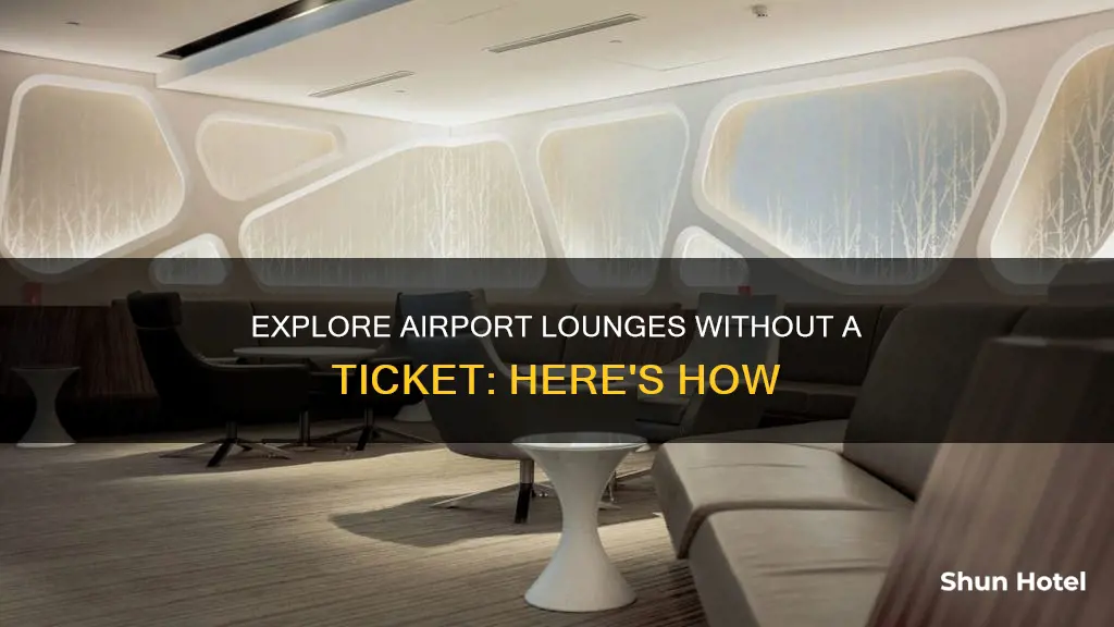 can we access airport lounge without ticket
