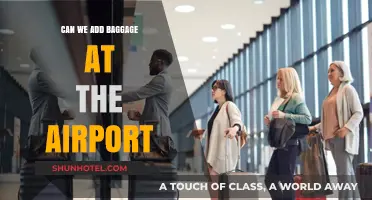 Last-Minute Baggage: Airport Options and Rules