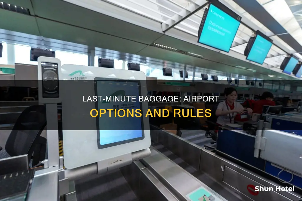 can we add baggage at the airport