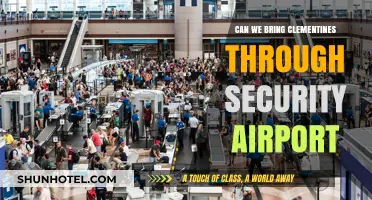 Airport Security and Clementines: What You Need to Know