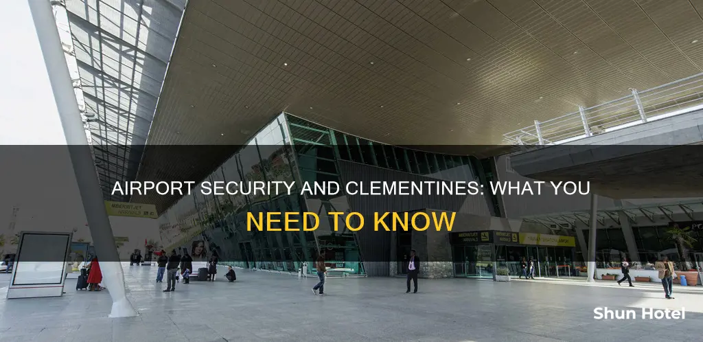can we bring clementines through security airport