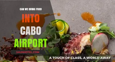 Bringing Food to Cabo Airport: What You Need to Know