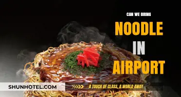 Traveling with Noodles: Airport Security Rules
