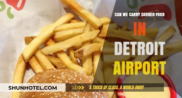 Travelers' Guide: Carrying Cooked Food via Detroit Airport