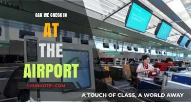 Checking In: Airport Options and What to Expect