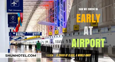 Early Airport Check-In: Is It Possible?
