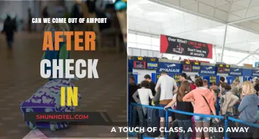 Exploring the Airport: Check-In and Beyond