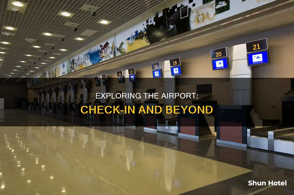 can we come out of airport after check in