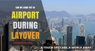 Exploring Airports and Beyond During Layovers