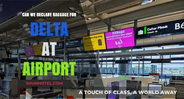 Declaring Baggage for Delta: Airport Essentials