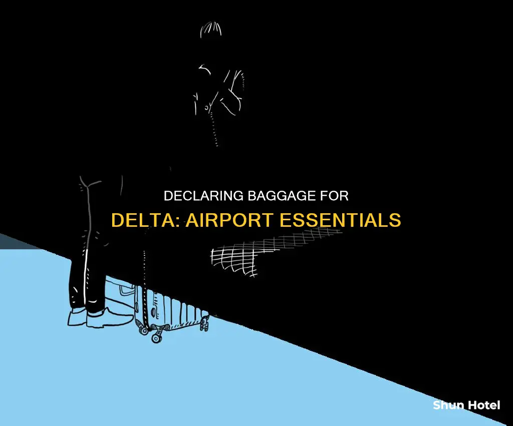can we declare baggage for delta at airport