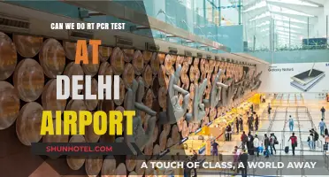 Delhi Airport RT-PCR Testing: Where and How?