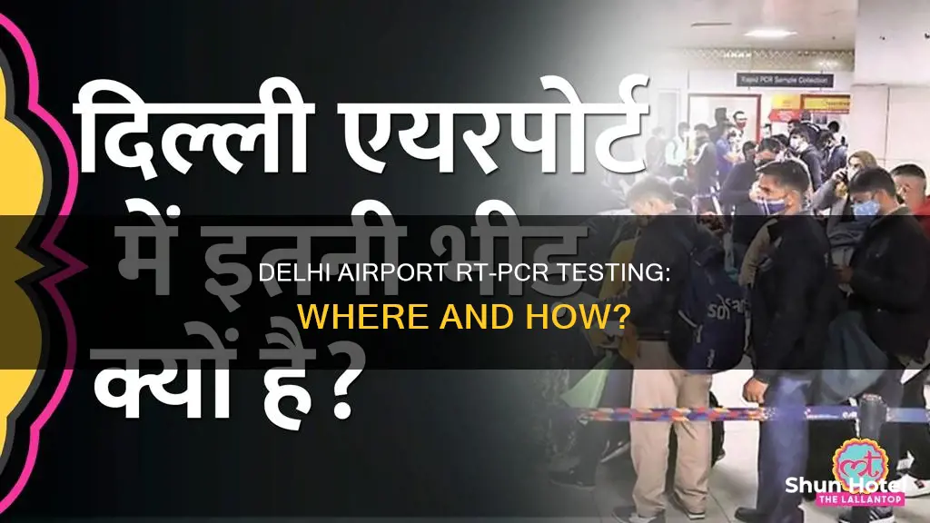 can we do rt pcr test at delhi airport