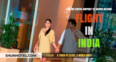 Early Birds: Airport Entry Timing in India