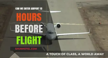 Early Birds: Exploring Airport Entry Timing Before Flights