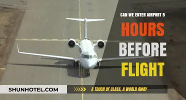 Early Birds: Airport Entry Hours Before Flight