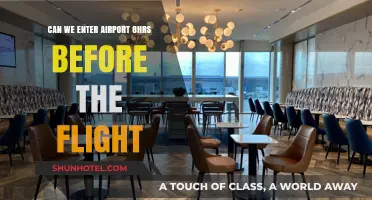 Early Birds: Airport Entry Timing Explained