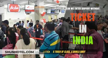 Airport Security: Can You Enter Without a Ticket?