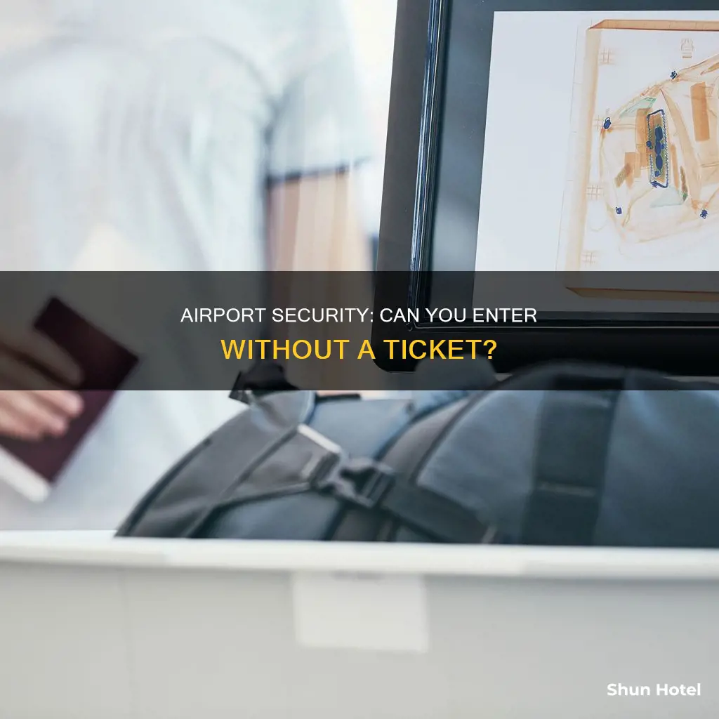can we enter airport without ticket in india