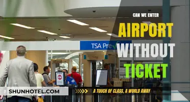 Exploring Airport Access: Ticketless Entry