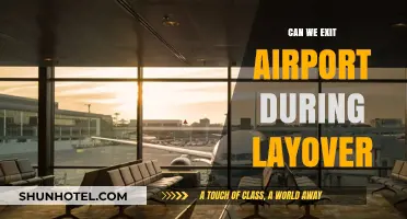 Exploring Cities During Layovers: Is It Possible?