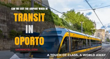 Exploring Porto During a Layover: Can You Leave the Airport?