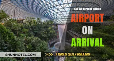 Exploring Changi Airport: A Transit Treat or Miss?