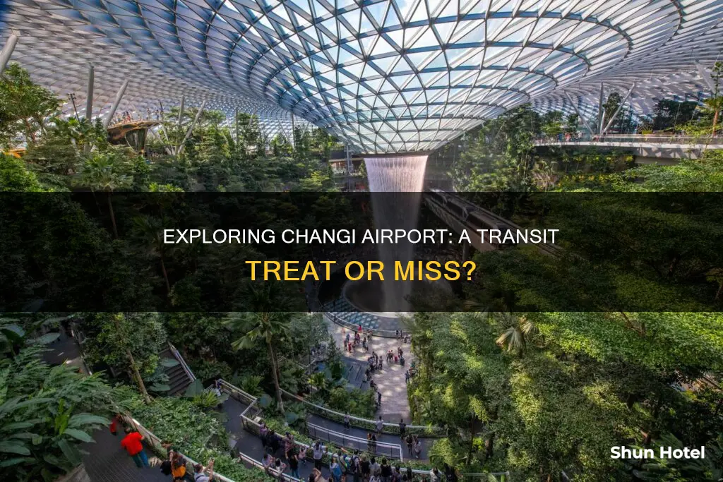 can we explore changi airport on arrival
